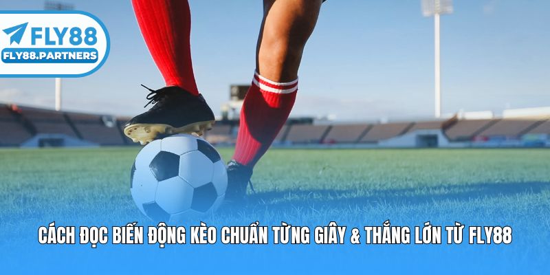 Cách Đọc Biến Động Kèo Chuẩn Từng Giây & Thắng Lớn Từ Fly88