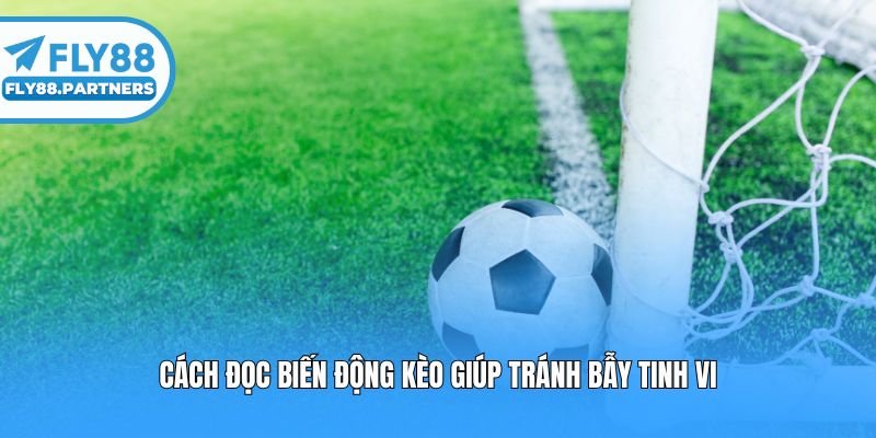 Cách đọc biến động kèo giúp tránh bẫy tinh vi