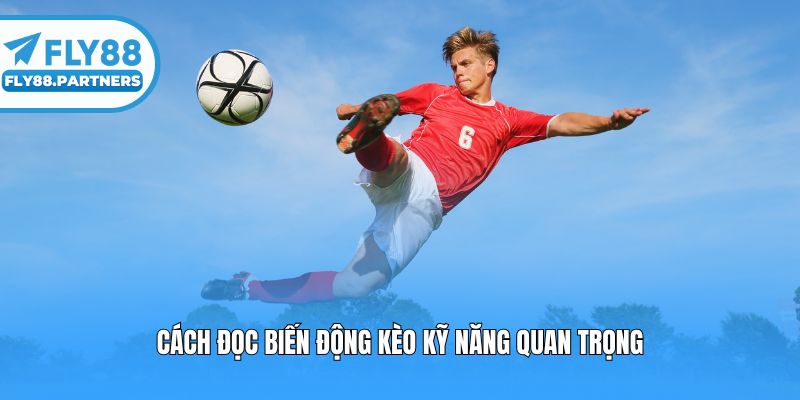Cách đọc biến động kèo kỹ năng quan trọng