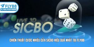 Chiến Thuật Cược Nhiều Cửa Sicbo Hiệu Quả Nhất Tại Fly88