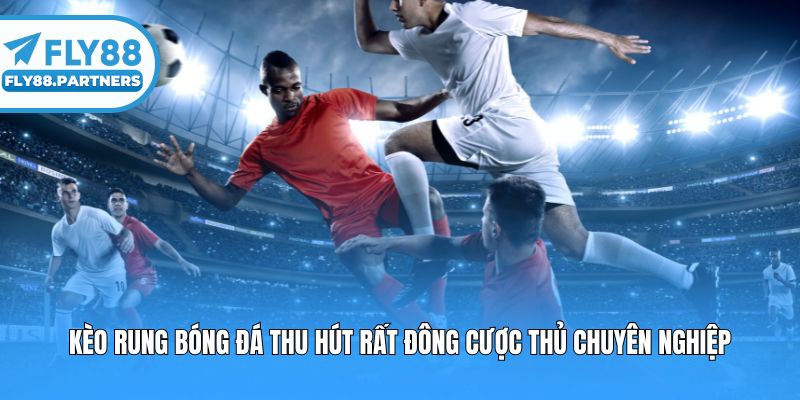  Kèo rung bóng đá thu hút rất đông cược thủ chuyên nghiệp