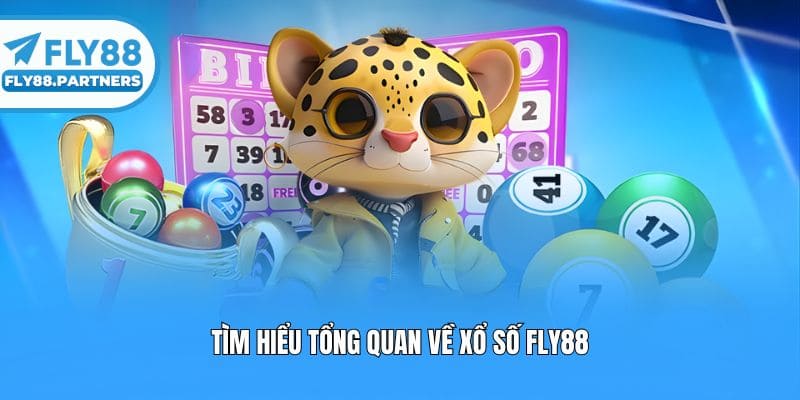 Tìm hiểu tổng quan về xổ số Fly88